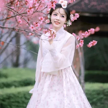 Hanbok korejski Tradicionalno Obleko za Ženske High-end Cvetlični Dolgo sleeved Resnično Sodišče Dolgo Obleko za Fotografiranje Foto Nezajetih Princesa - Slike 1  