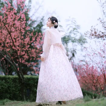 Hanbok korejski Tradicionalno Obleko za Ženske High-end Cvetlični Dolgo sleeved Resnično Sodišče Dolgo Obleko za Fotografiranje Foto Nezajetih Princesa - Slike 2  