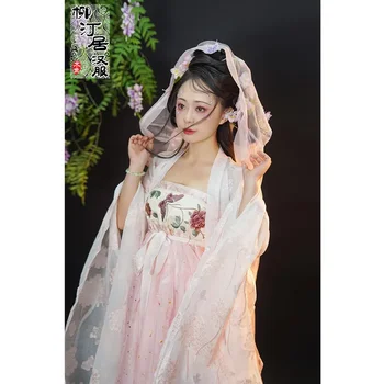 LiuTingJu Tang Dinastije Težka Industrija Hanfu Obleko Za Ženske Roza Lepe Metulj Vezene Hanfu Obleko Čipke Porjavelost Robe - Slike 2  